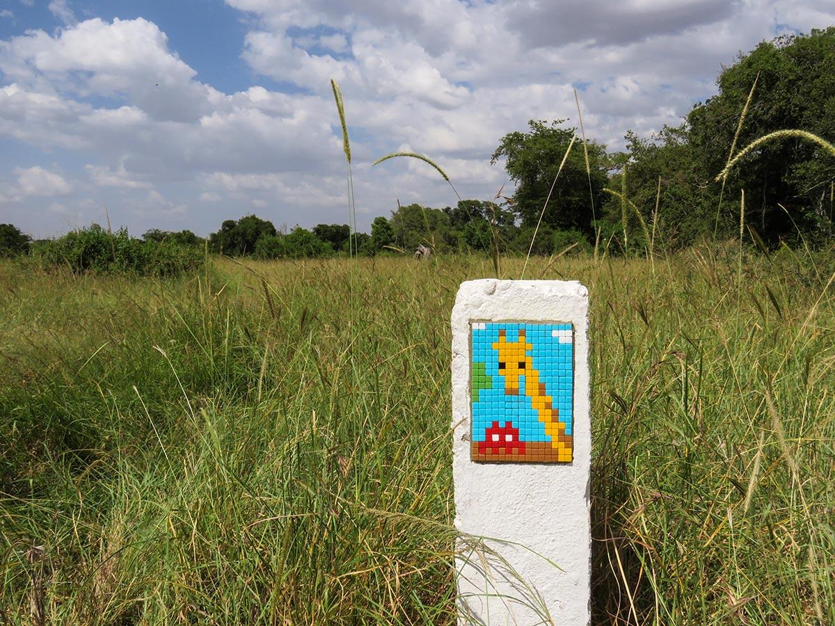 "Space Invader", Serengeti of Tanzania, 2015