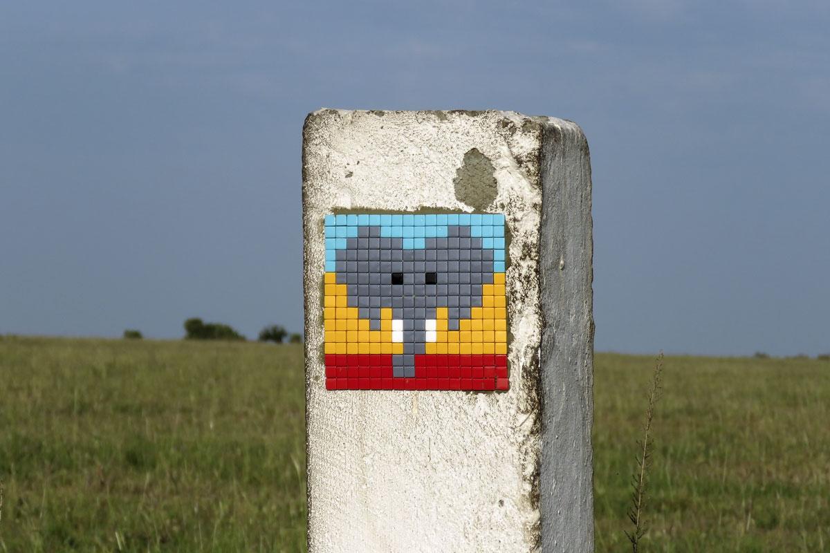 "Space Invader", Serengeti of Tanzania, 2015