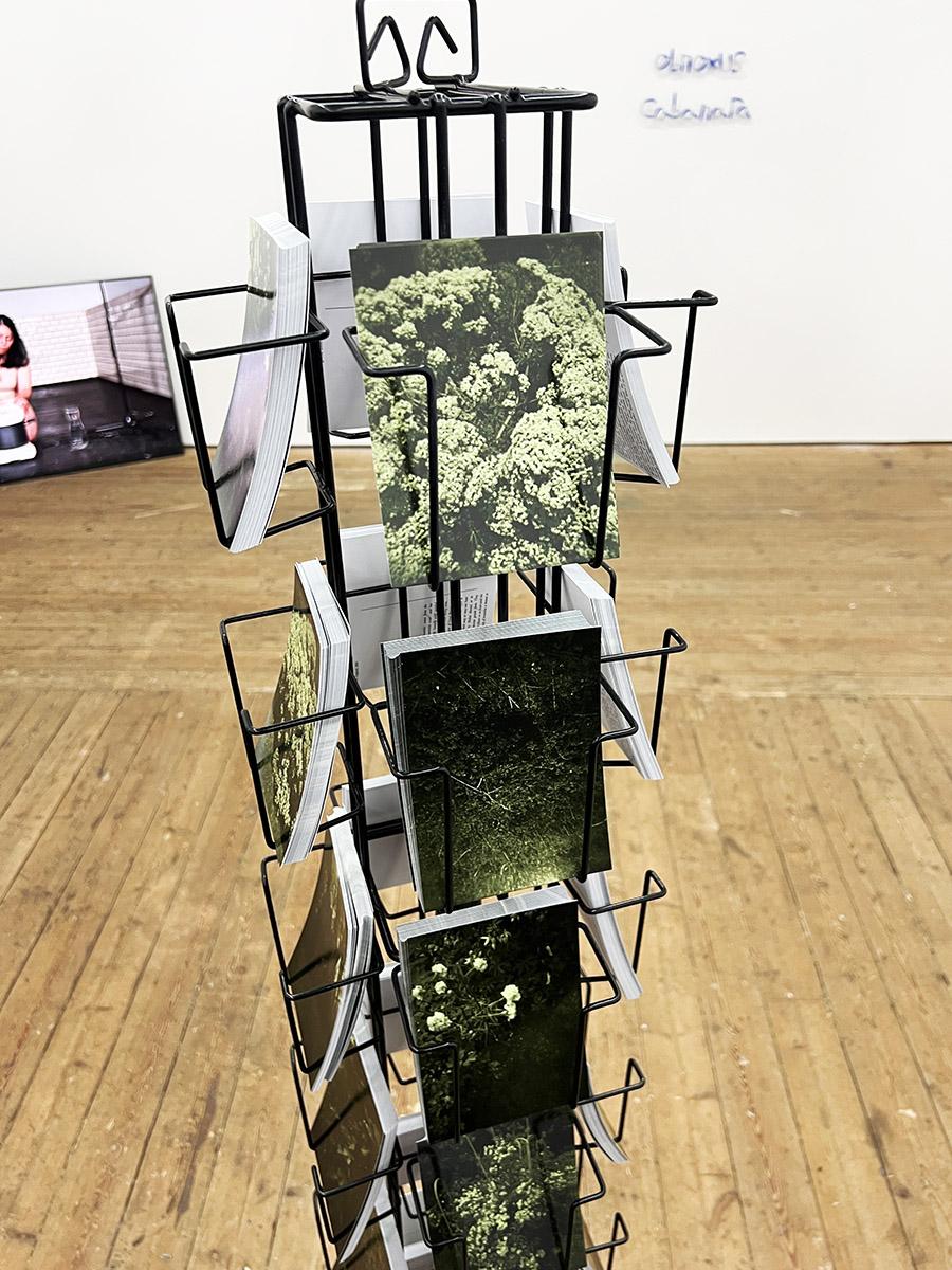 Becky Beasley Flora, A Life, 2013 ​Edition of 3 Revolving postcard rack, 12 sets of postcards 165.1 x 30.5 x 30.5 cm